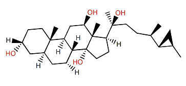 26,27-Cyclo-24,27-dimethylcholestan-3a,12b,14,20b-tetraol